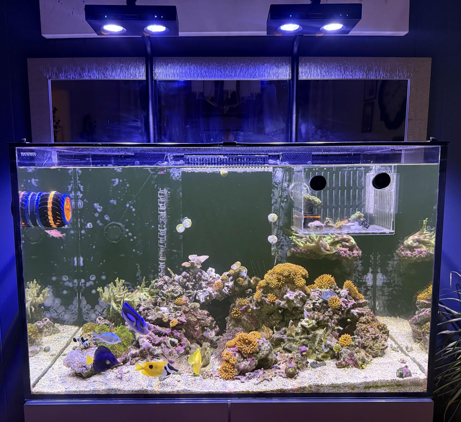 Marine Aquarium Led Lights - Мощный светодиодный светильник для аквариума DIY