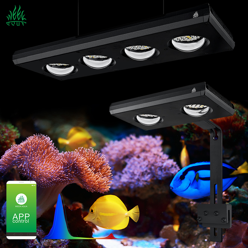 Marine Aquarium Led Lights - ZXY Лидер продаж WEEKAQUA Z250 Z400sea