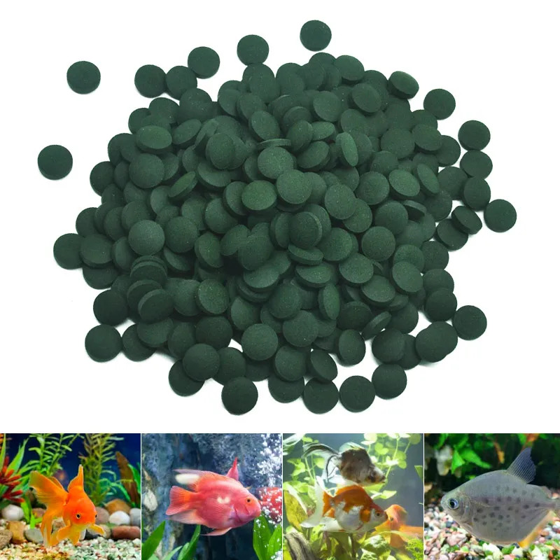 100-3000 шт. таблетки спирулин – обзор и цена Marine Aquarium Bacteria