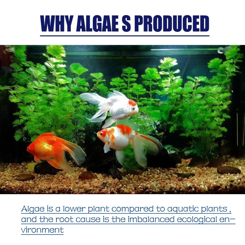 50 г высокоэффективного альгиц – обзор и цена Aquarium Marine Plants