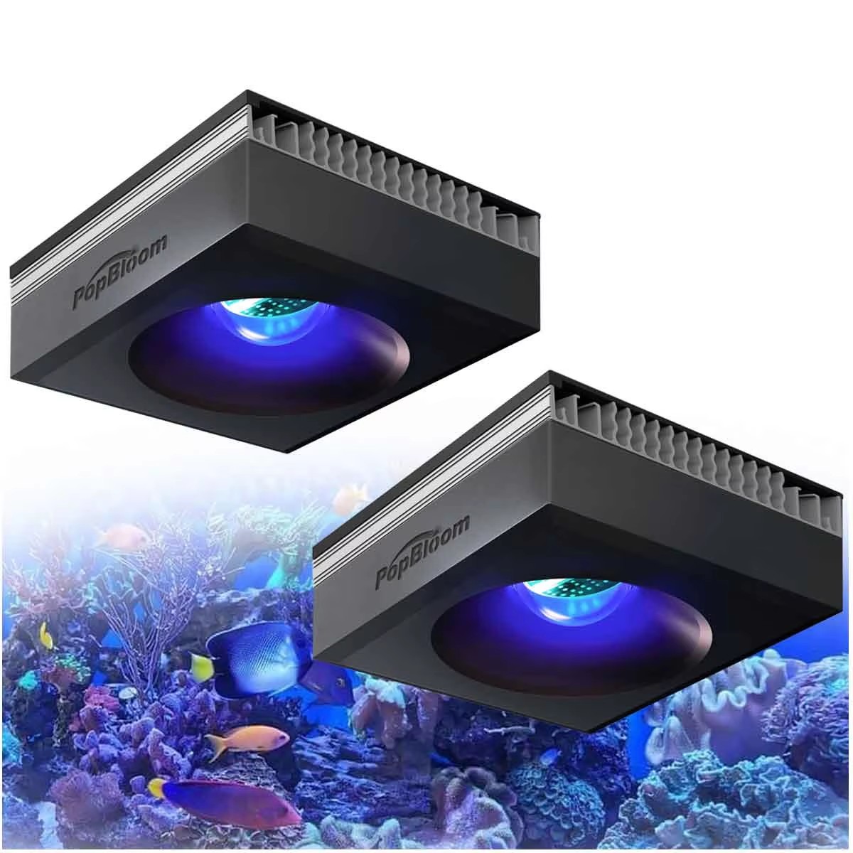 Светильник для аквариума PopBl – обзор и цена Marine Aquarium Led Lights