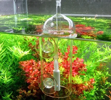 VIV Do устройство аквариумный  – обзор и цена Aquarium Marine Plants