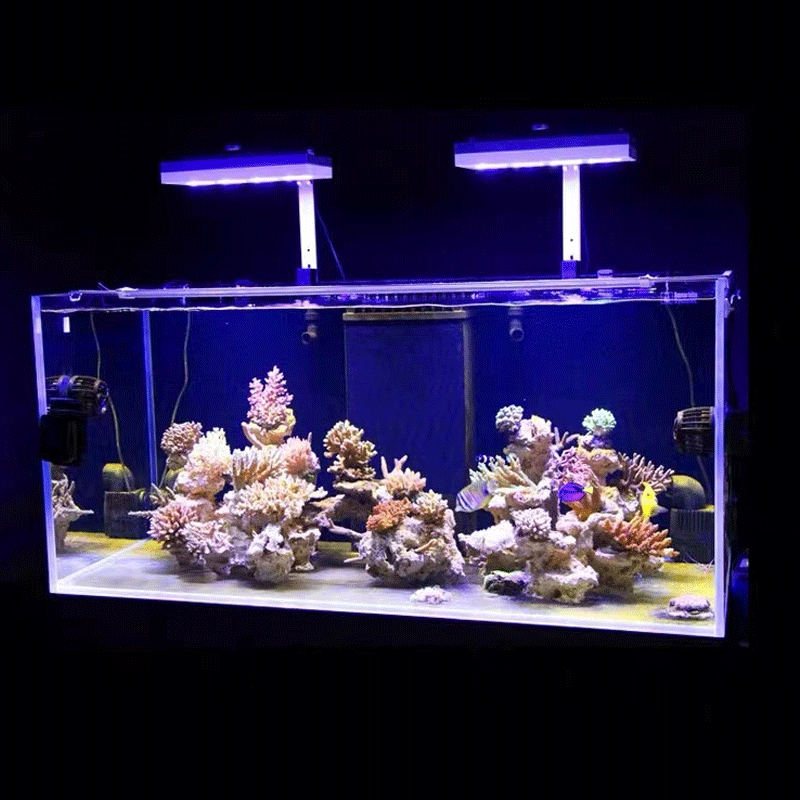 Светодиодный светильник Aqua I – обзор и цена Marine Aquarium Led Lights
