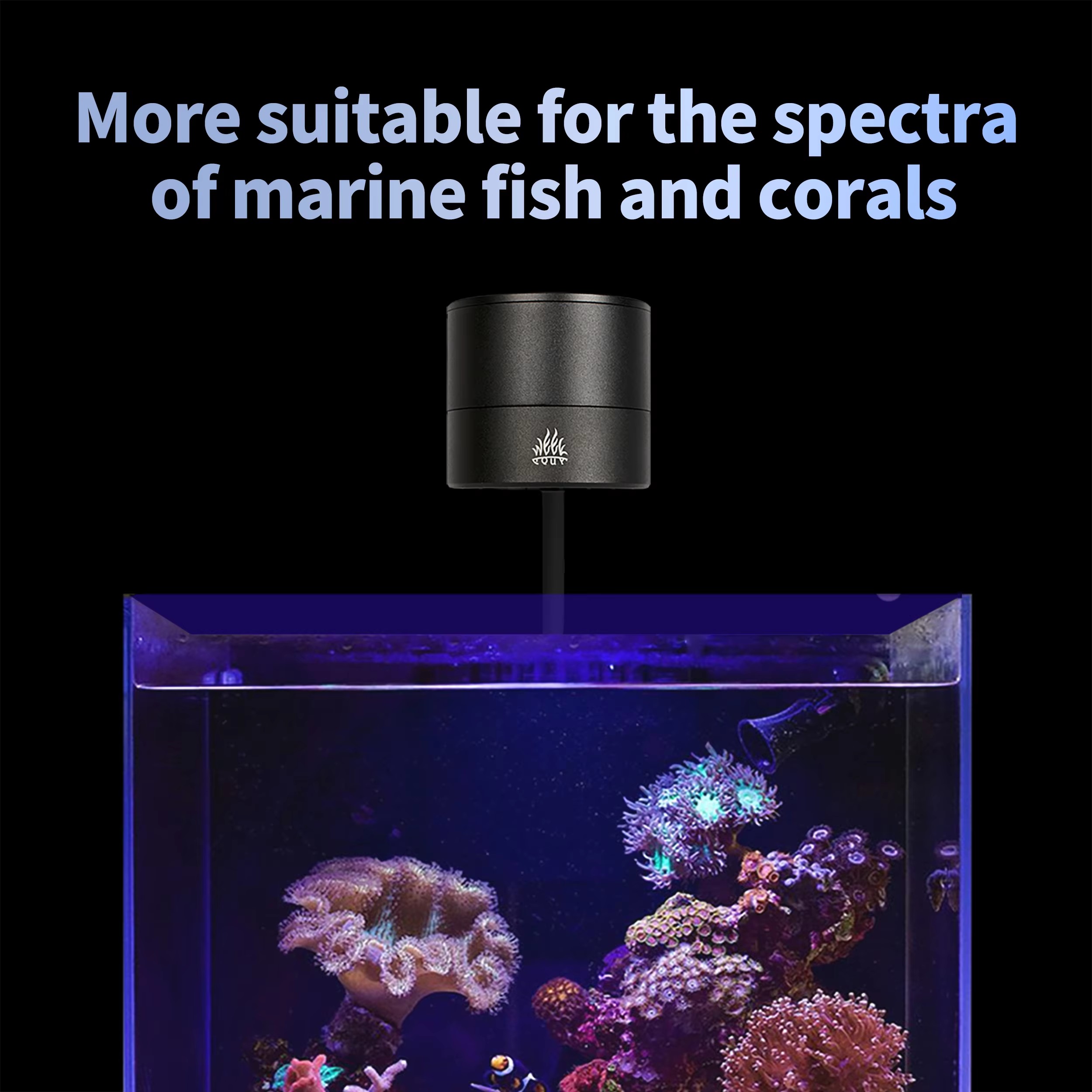 Светильник WEEK AQUA для аквар – обзор и цена Aquarium Blue Marine Reef