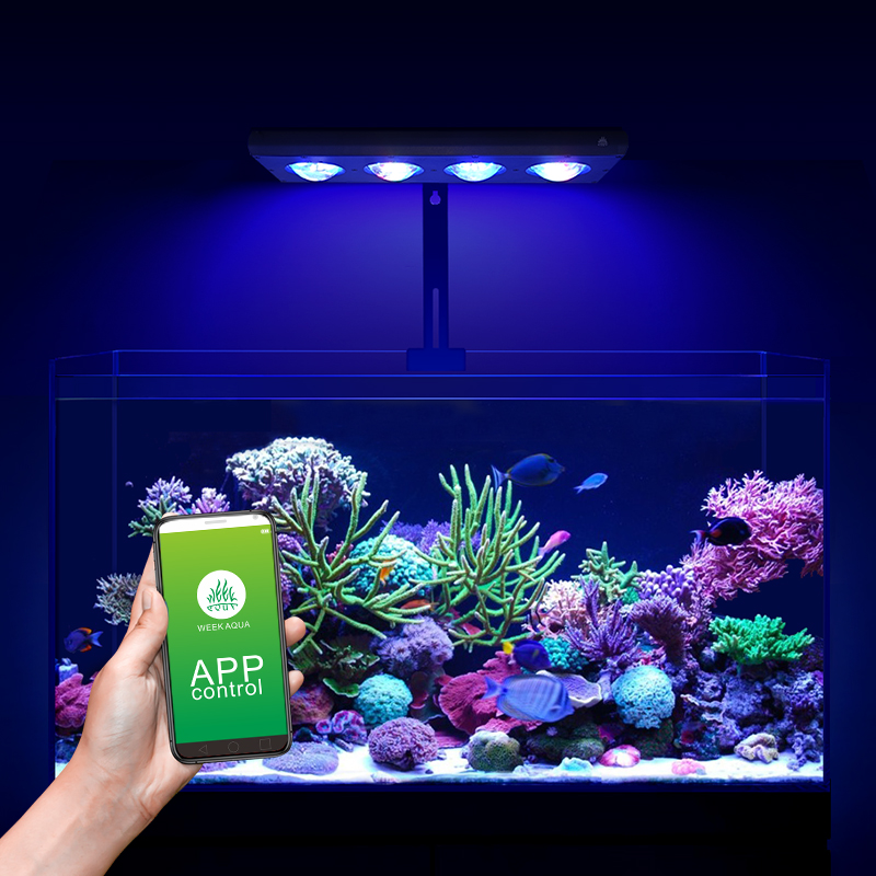 ZXY Лидер продаж WEEKAQUA Z250 – обзор и цена Marine Aquarium Led Lights