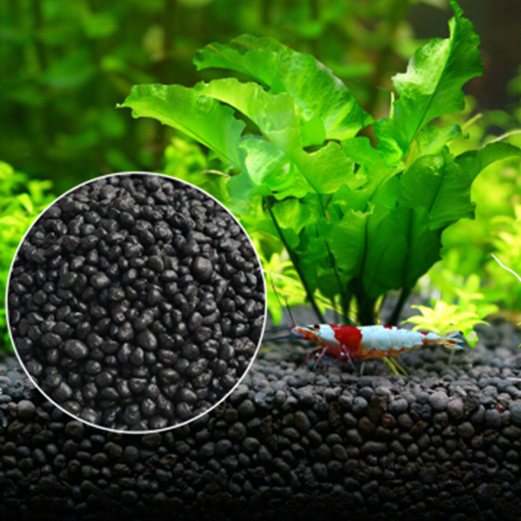Семена аквариумных растений, п – обзор и цена Aquarium Marine Plants