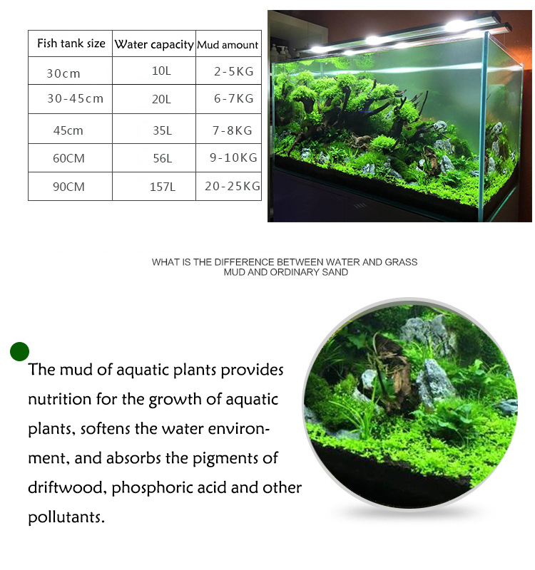 Семена аквариумных растений, п – обзор и цена Aquarium Marine Plants