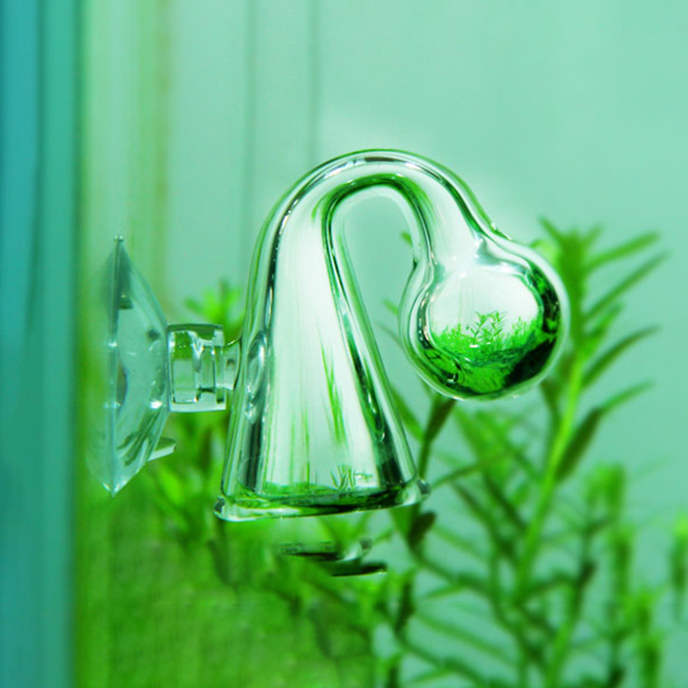 Аквариум CO2, диффузное стекло – обзор и цена Aquarium Marine Plants