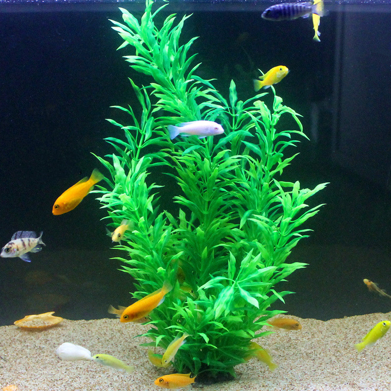 50 см искусственный аквариум р – обзор и цена Aquarium Marine Plants